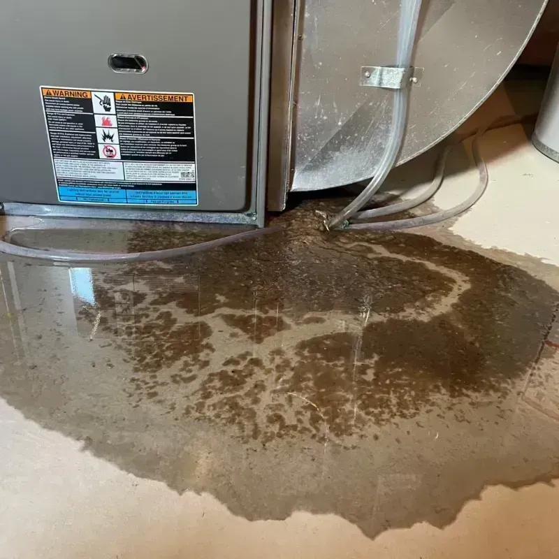 Appliance Leak Cleanup in Streamwood, IL